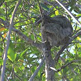 Costa Rica20150402-1544-0786